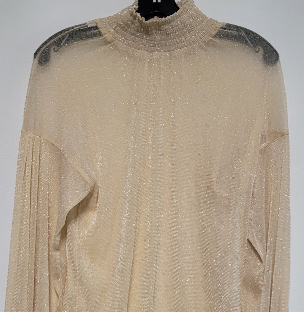 Forever 21 Sheer Gold shimmer top